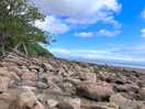 Beach, rock pools