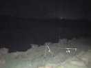 An otter came to visit stayed a while and swam off