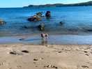Our doggie in the sea