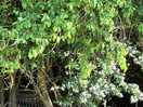 Nature right outside the door, birds singing, rabbits foraging.