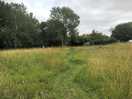 Winding path through the meadow, looking towards the farmhouse.