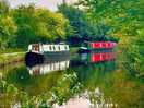 Lovely walk