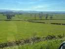 Countryside location next to river with dog walking