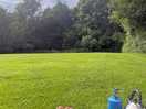 Freshly cut grass and wonderful breathing space!
