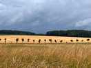 Walk to la roche