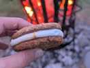 Toasting s'mores round the campfire