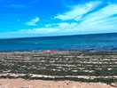 The beach