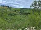 View from the site