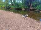 River wyre walk