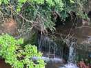 Stream on site