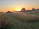Sundown