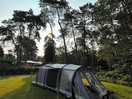 Tent in trees