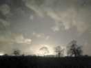 Stary skies