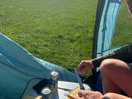 Breakfast with the sheep