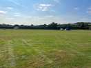 Main field