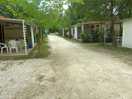Roads around campsite