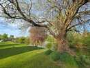 Grounds