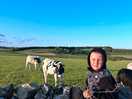 Cows