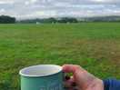 The great outdoors