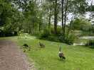 Lovely little nature trail on site