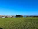 View from site