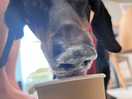 Colin enjoying a puppacino in the cafe
