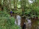 Playing ball in the stream