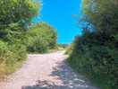 Entrance road!