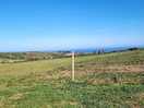 Lovely seaview.