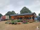 Fruit,fowers and veg stal