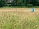 Adjoining meadow