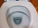 I saw blue cleaning liquid throw down once in the week we were there