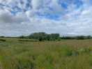 Landschaft