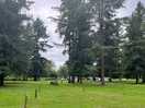 Campsite