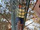 Bosc vertical