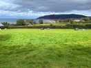 Gentle slope, with amazing veiws.