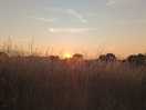 Loved the views across the field