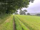 Beautiful walk