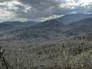 Ruta