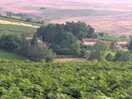Farm walk
