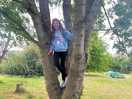 Tree climbing on site