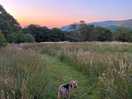 Walks from the campsite