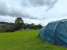 Plenty of pitches & free roaming farm animals
