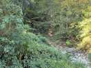 Bosque con río de rocas delante de la parcela