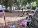 Plenty of cycles on the site