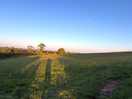 View from site