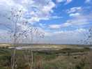 5 min walk along the river wall will take you here to see migrating birds