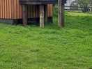 In folly farm