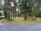 Wooded location