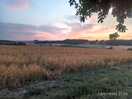 Evening sunset
